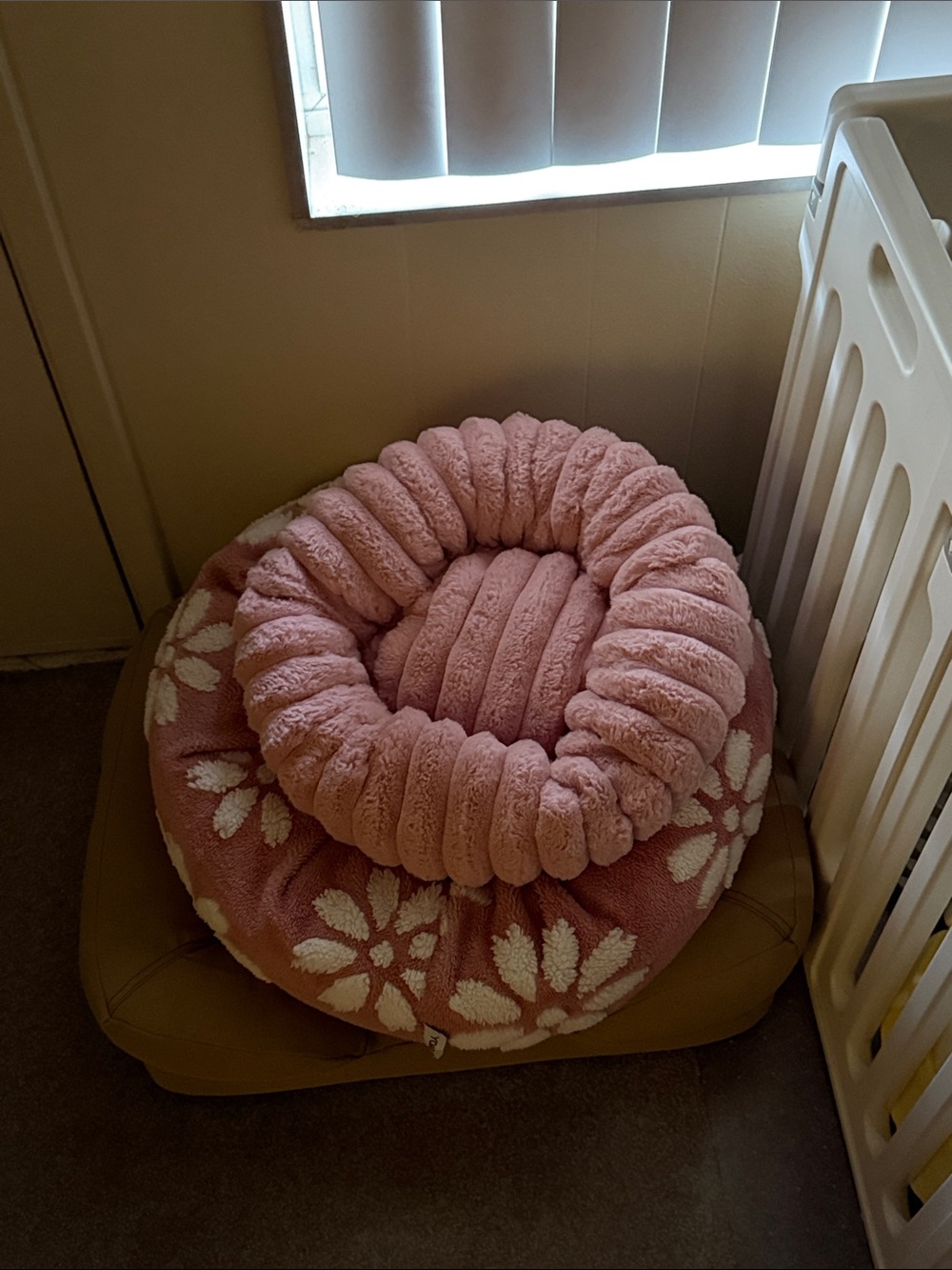 3 Plush Pink Floral Round Pet Beds